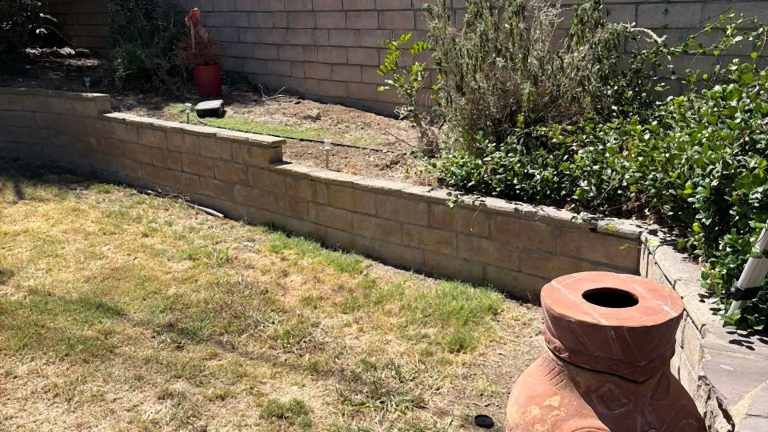 A backyard lawn and planter cleared and swept after a haul