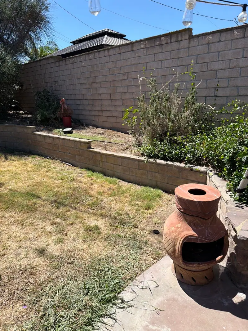 A backyard lawn and planter cleared and swept after a haul