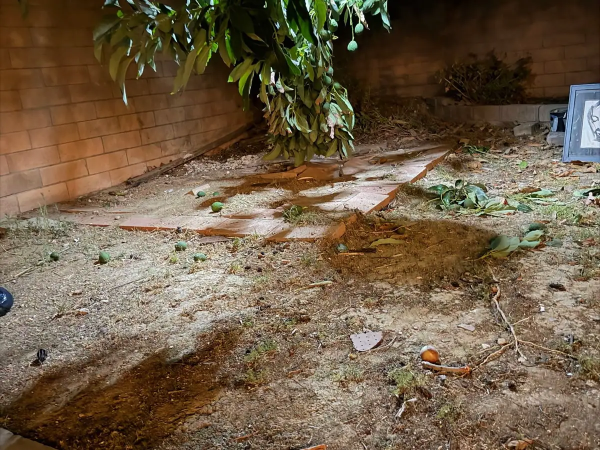 The same corner after the shed was taken away; bare dirt with rust marks where it stood