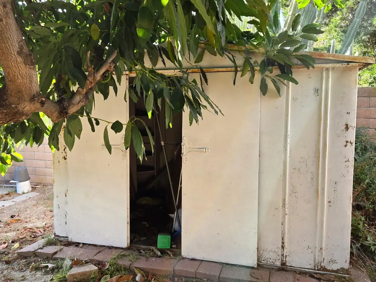 An old white metal shed standing under a tree in a backyard